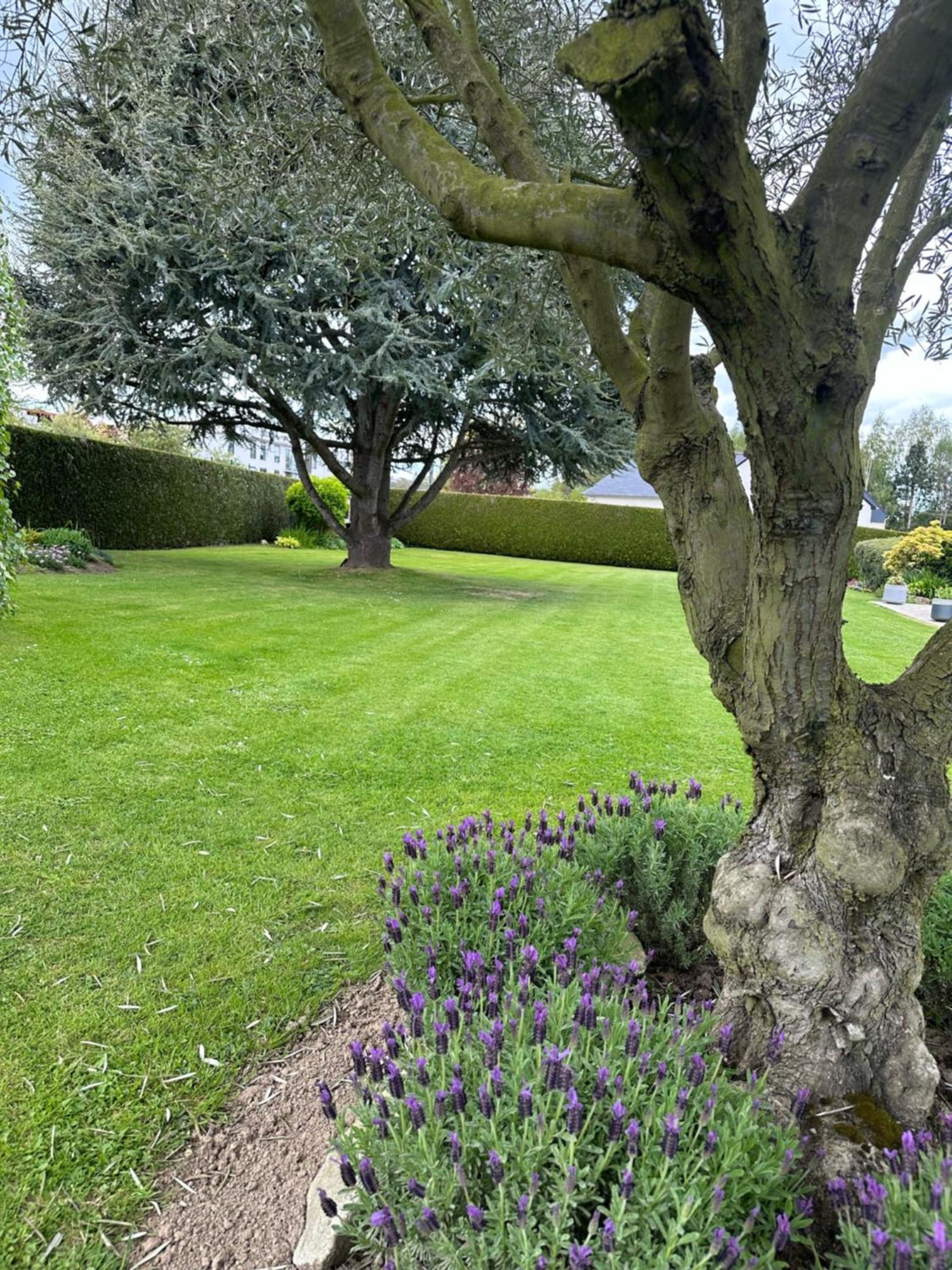 Bed and Breakfast Les Tulipes Antrain Exterior foto